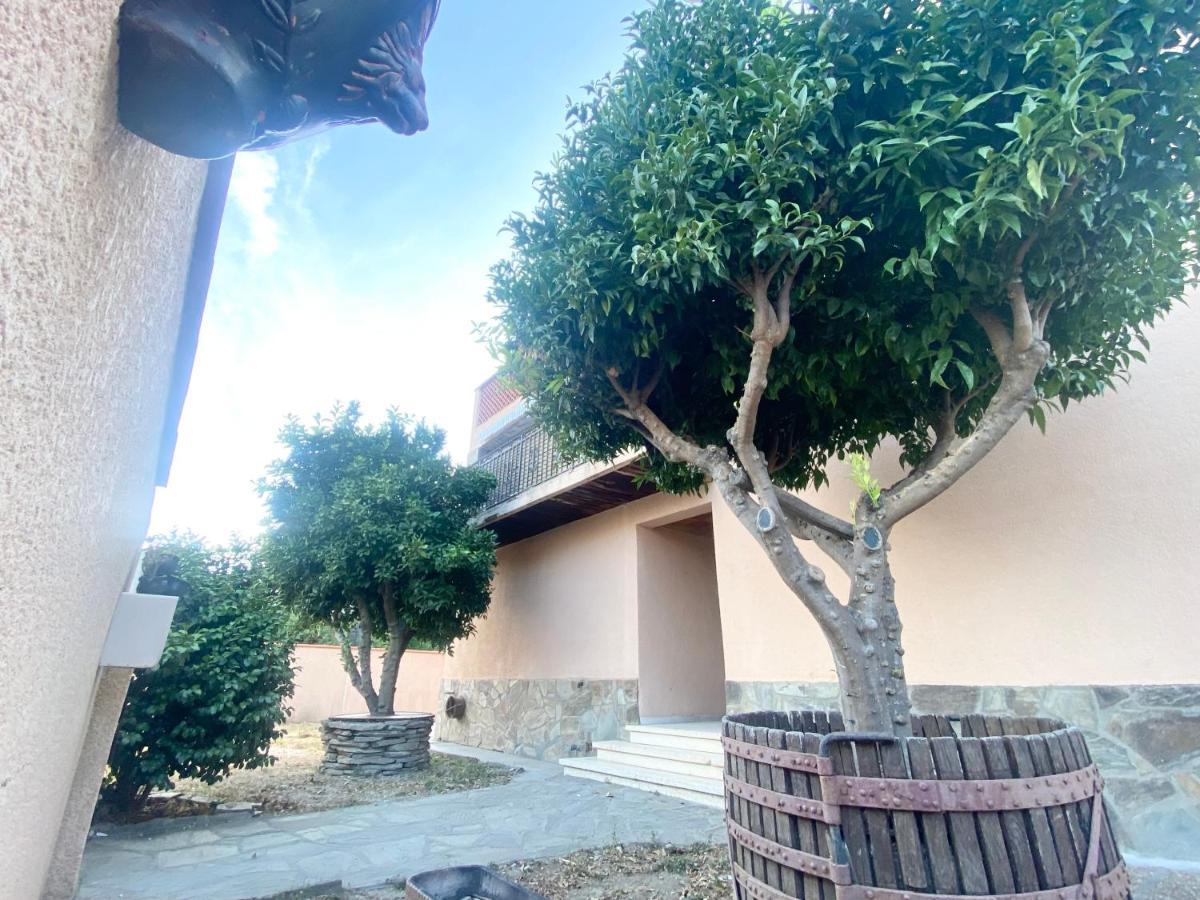L'artmonie - Climatise - Jardin - Centre-ville - * Perpignan